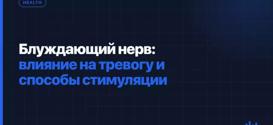 Блуждающий нерв: влияние на тревогу и способы стимуляции