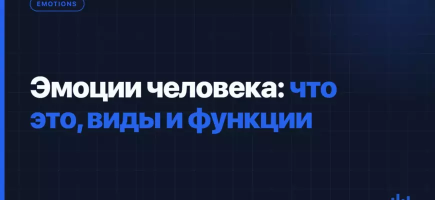Эмоции человека: что это, виды и функции Эмоции человека: что это, виды и функции