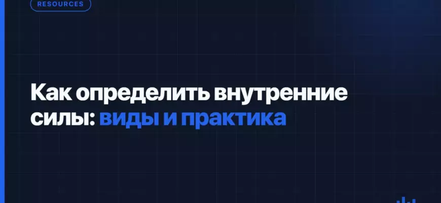 Как определить внутренние силы: виды и практика