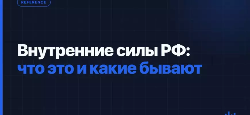 Внутренние силы РФ: что это и какие бывают